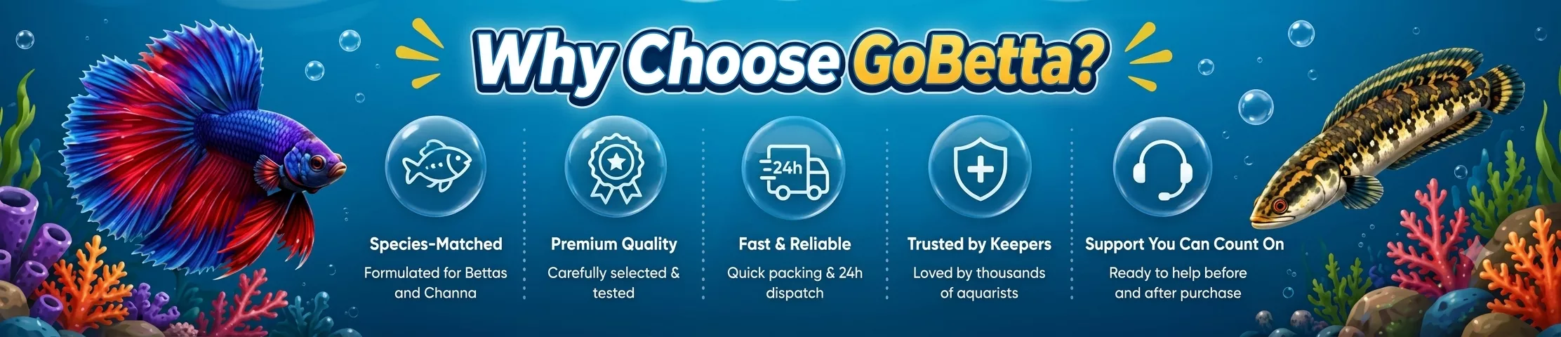 Why Choose GoBetta?