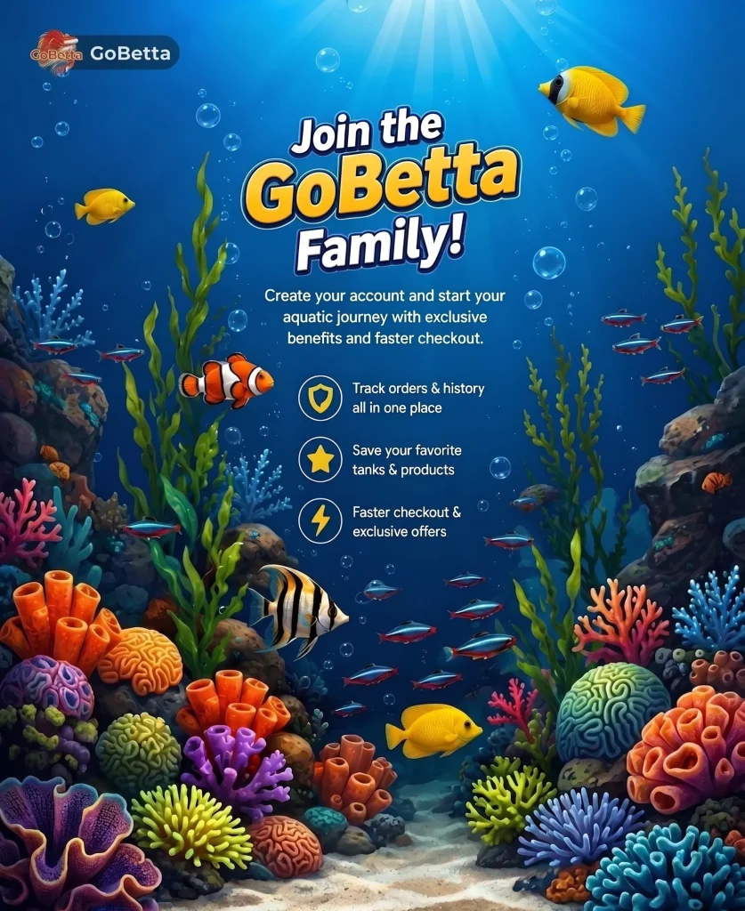Create Your Account
