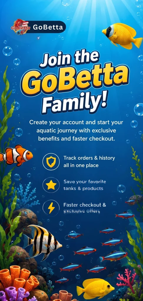 Create Your Account