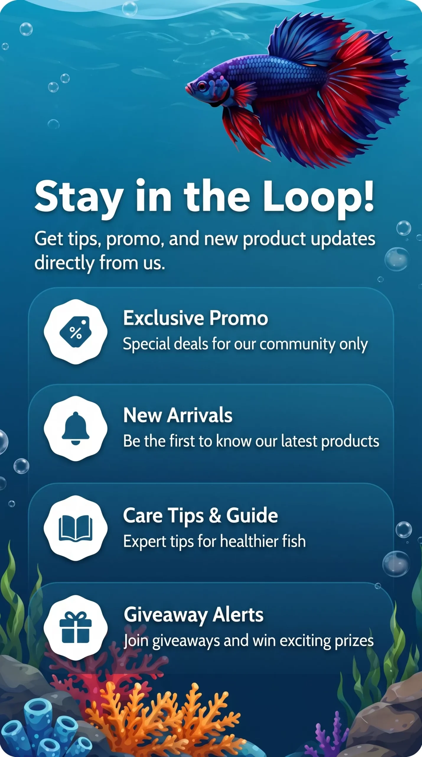 Stay in the Loop!