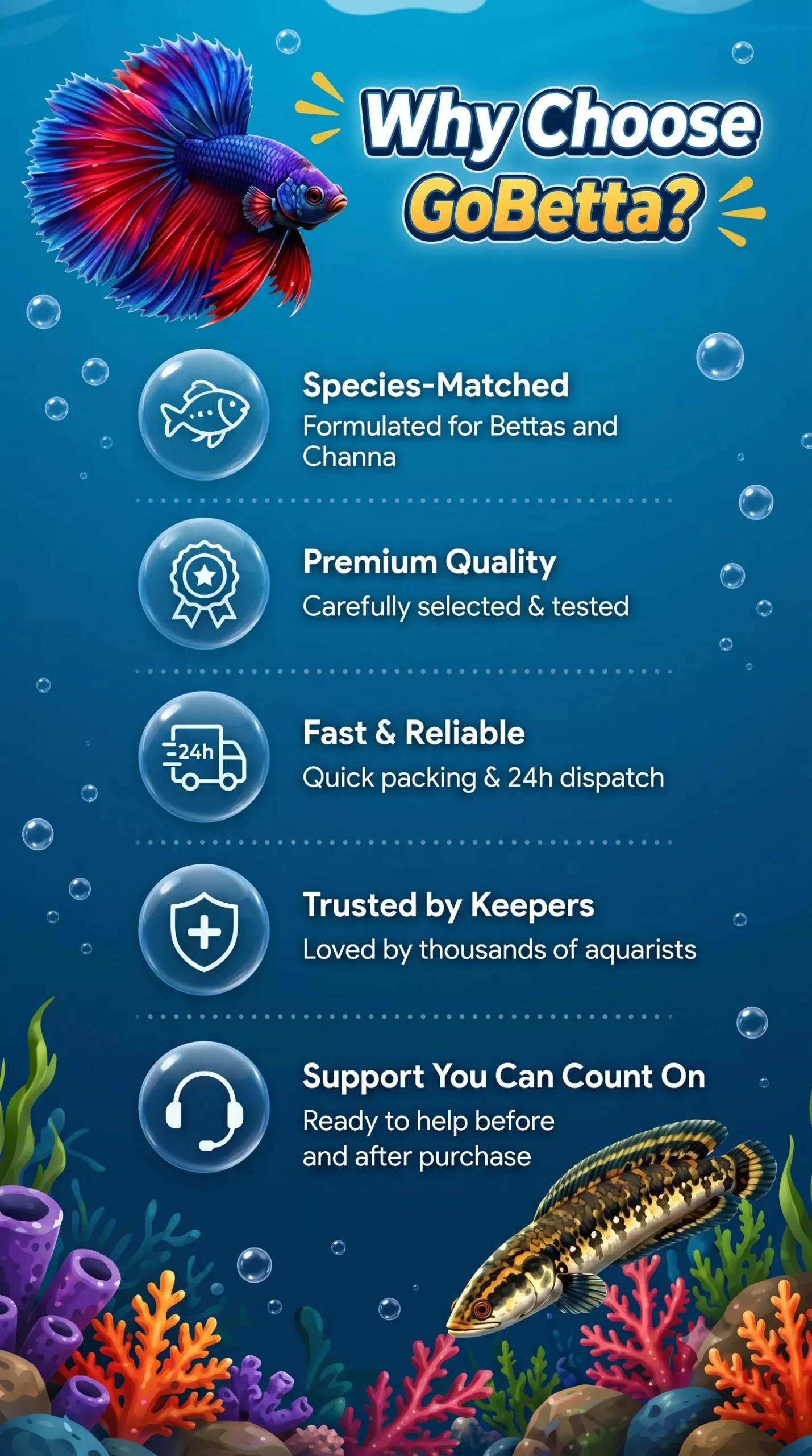 Why Choose GoBetta?